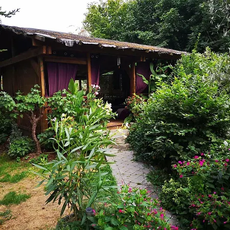 O'claire Saint-Martin-sur-Écaillon